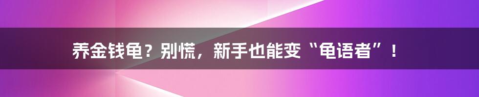 养金钱龟？别慌，新手也能变“龟语者”！