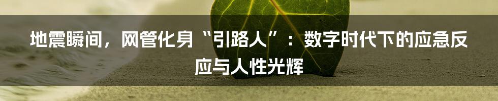 地震瞬间，网管化身“引路人”：数字时代下的应急反应与人性光辉