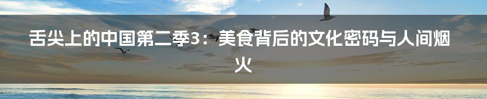 舌尖上的中国第二季3：美食背后的文化密码与人间烟火