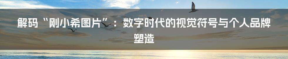 解码“刚小希图片”：数字时代的视觉符号与个人品牌塑造