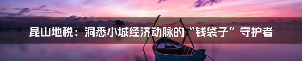 昆山地税：洞悉小城经济动脉的“钱袋子”守护者