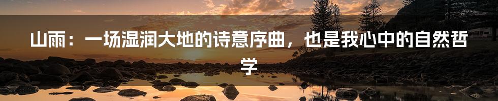 山雨：一场湿润大地的诗意序曲，也是我心中的自然哲学