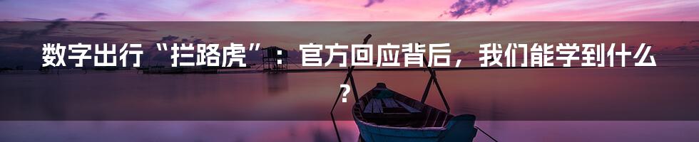 数字出行“拦路虎”：官方回应背后，我们能学到什么？