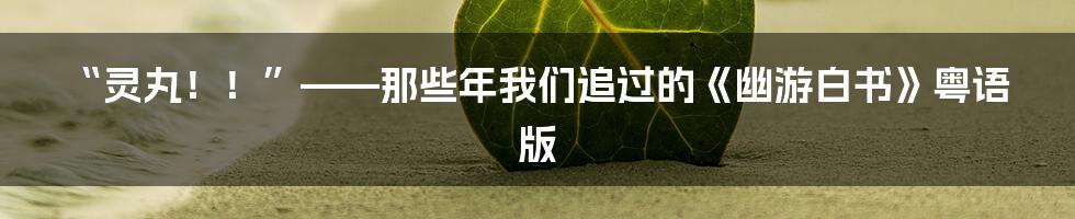 “灵丸！！”——那些年我们追过的《幽游白书》粤语版