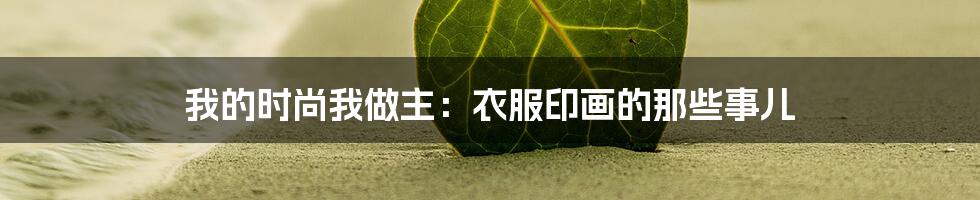 我的时尚我做主：衣服印画的那些事儿