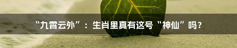 “九霄云外”：生肖里真有这号“神仙”吗？