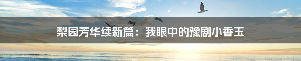 梨园芳华续新篇：我眼中的豫剧小香玉