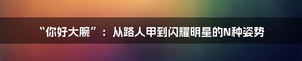 “你好大腕”：从路人甲到闪耀明星的N种姿势