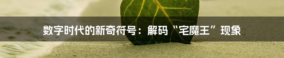 数字时代的新奇符号：解码“宅魔王”现象