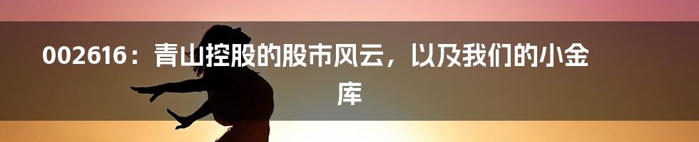 002616：青山控股的股市风云，以及我们的小金库