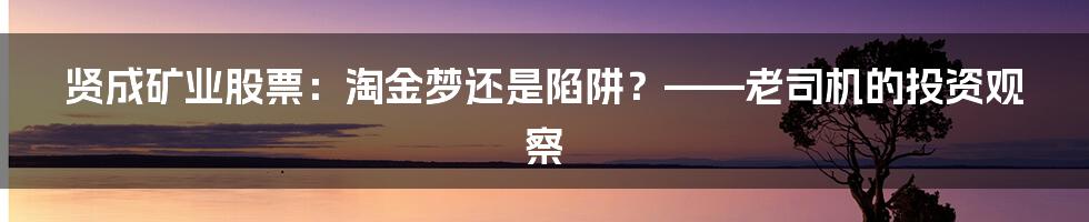 贤成矿业股票：淘金梦还是陷阱？——老司机的投资观察