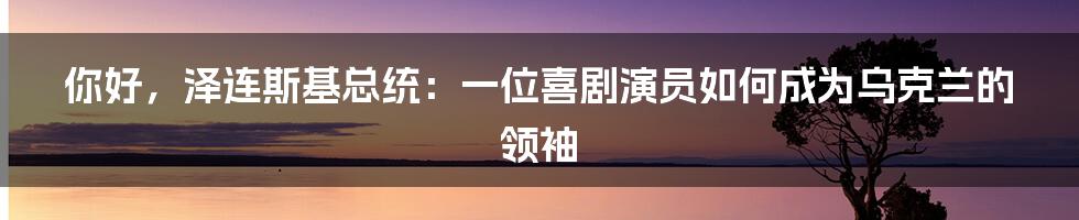 你好，泽连斯基总统：一位喜剧演员如何成为乌克兰的领袖