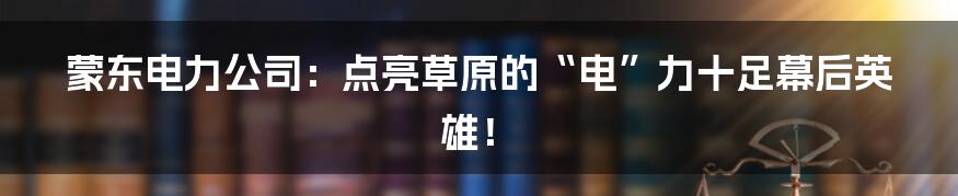 蒙东电力公司：点亮草原的“电”力十足幕后英雄！