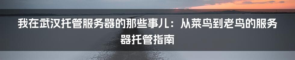 我在武汉托管服务器的那些事儿：从菜鸟到老鸟的服务器托管指南