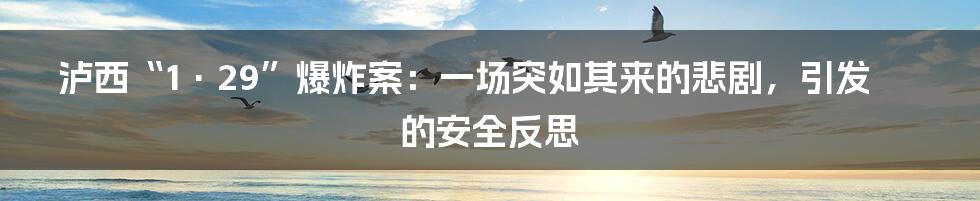 泸西“1·29”爆炸案：一场突如其来的悲剧，引发的安全反思