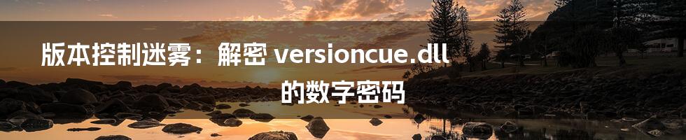 版本控制迷雾：解密 versioncue.dll 的数字密码