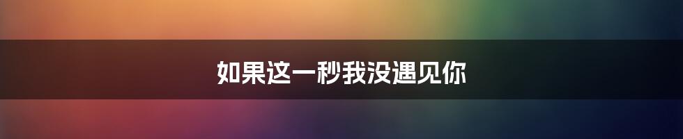 如果这一秒我没遇见你