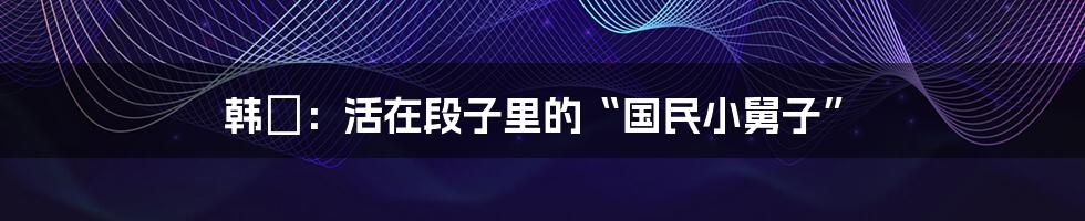 韩愢：活在段子里的“国民小舅子”