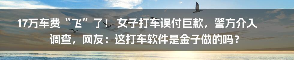 17万车费“飞”了！ 女子打车误付巨款，警方介入调查，网友：这打车软件是金子做的吗？