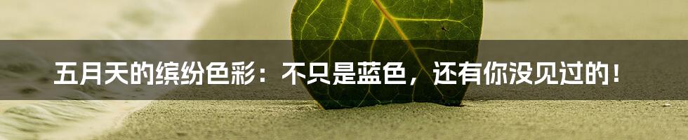 五月天的缤纷色彩：不只是蓝色，还有你没见过的！