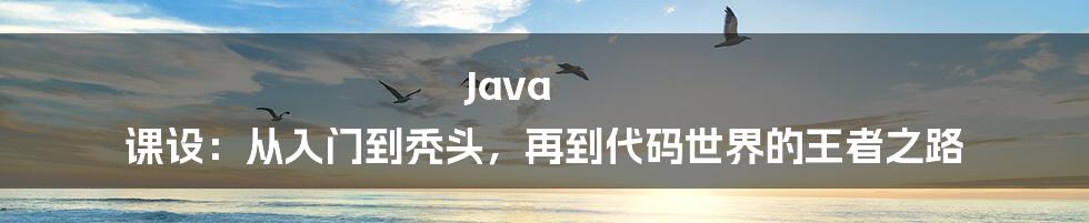 Java 课设：从入门到秃头，再到代码世界的王者之路