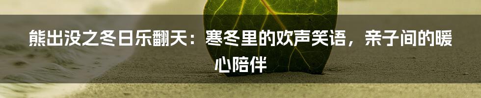 熊出没之冬日乐翻天：寒冬里的欢声笑语，亲子间的暖心陪伴