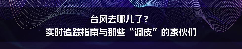台风去哪儿了？ 实时追踪指南与那些“调皮”的家伙们