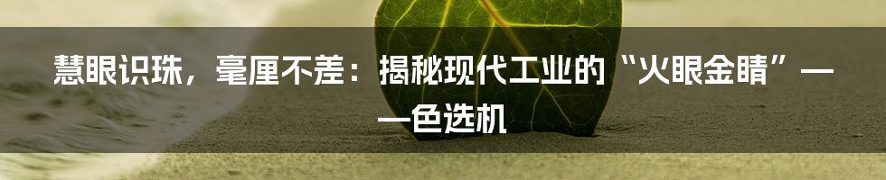 慧眼识珠，毫厘不差：揭秘现代工业的“火眼金睛”——色选机