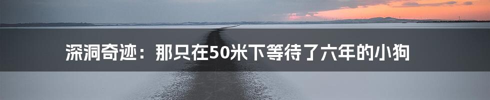 深洞奇迹：那只在50米下等待了六年的小狗