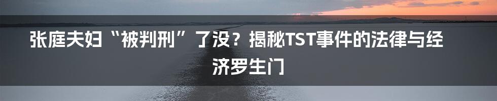 张庭夫妇“被判刑”了没？揭秘TST事件的法律与经济罗生门