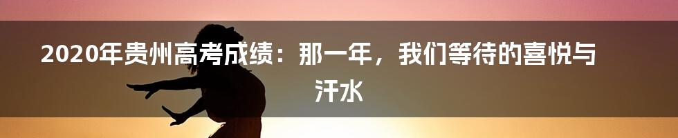 2020年贵州高考成绩：那一年，我们等待的喜悦与汗水