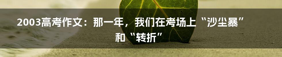 2003高考作文：那一年，我们在考场上“沙尘暴”和“转折”