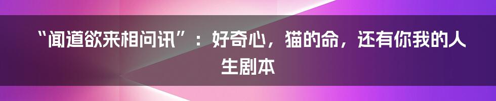“闻道欲来相问讯”：好奇心，猫的命，还有你我的人生剧本