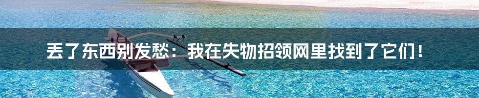 丢了东西别发愁：我在失物招领网里找到了它们！