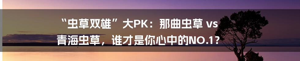 “虫草双雄”大PK：那曲虫草 vs 青海虫草，谁才是你心中的NO.1？
