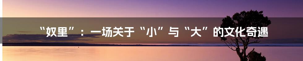 “奴里”：一场关于“小”与“大”的文化奇遇