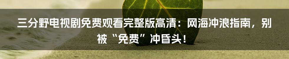 三分野电视剧免费观看完整版高清：网海冲浪指南，别被“免费”冲昏头！