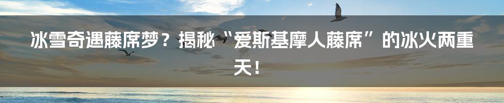 冰雪奇遇藤席梦？揭秘“爱斯基摩人藤席”的冰火两重天！