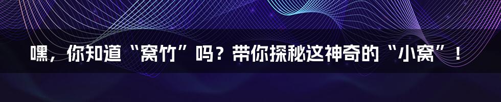 嘿，你知道“窝竹”吗？带你探秘这神奇的“小窝”！
