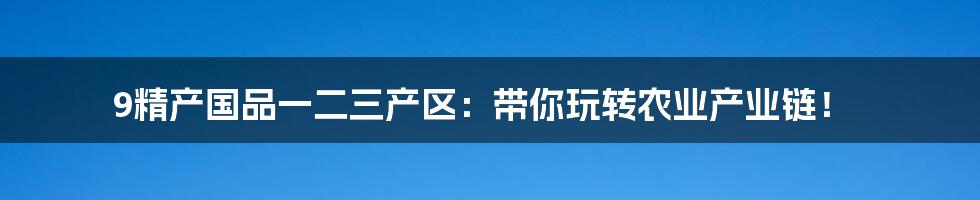 9精产国品一二三产区：带你玩转农业产业链！