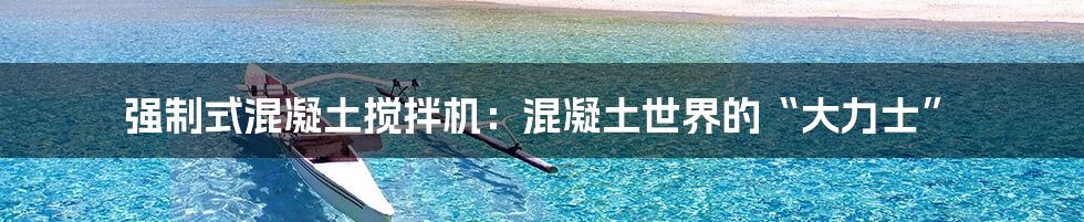 强制式混凝土搅拌机：混凝土世界的“大力士”