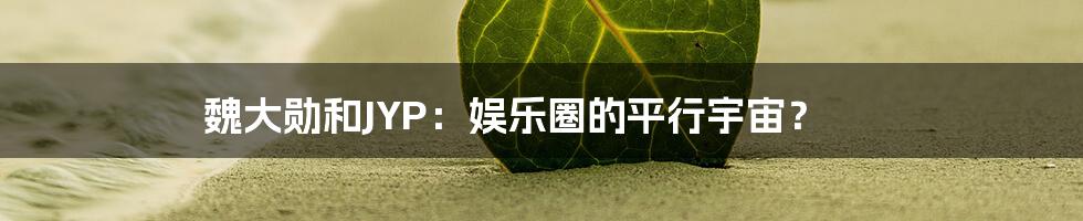 魏大勋和JYP：娱乐圈的平行宇宙？