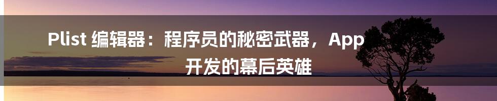 Plist 编辑器：程序员的秘密武器，App 开发的幕后英雄