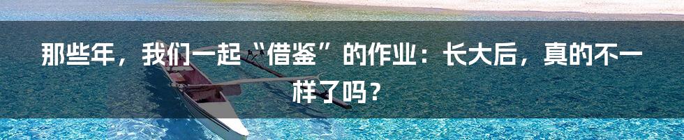 那些年，我们一起“借鉴”的作业：长大后，真的不一样了吗？