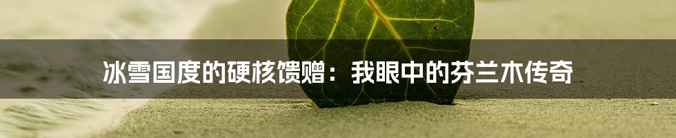 冰雪国度的硬核馈赠：我眼中的芬兰木传奇
